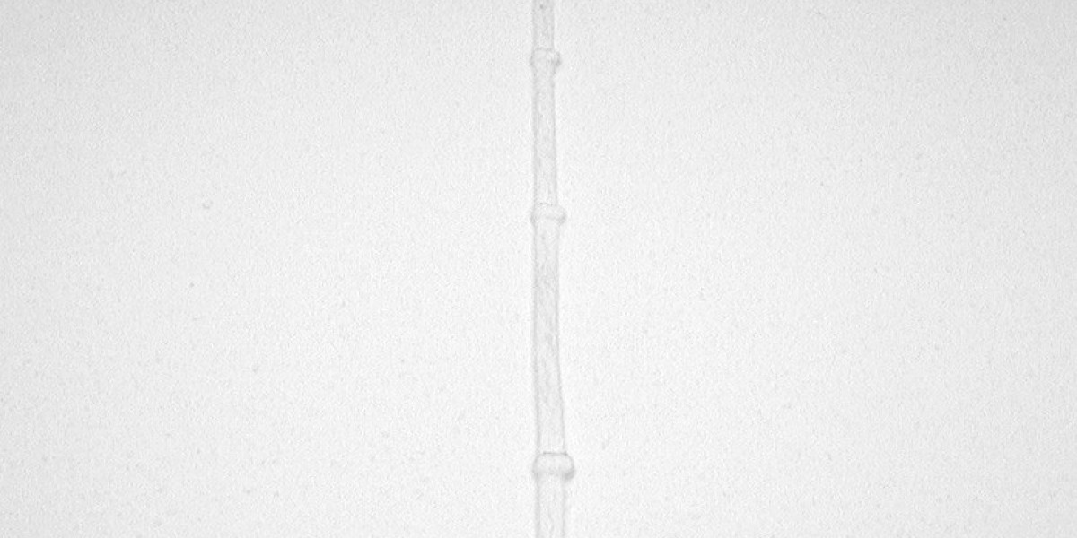 Somatotropin