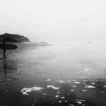 Flutter Crafters LTD