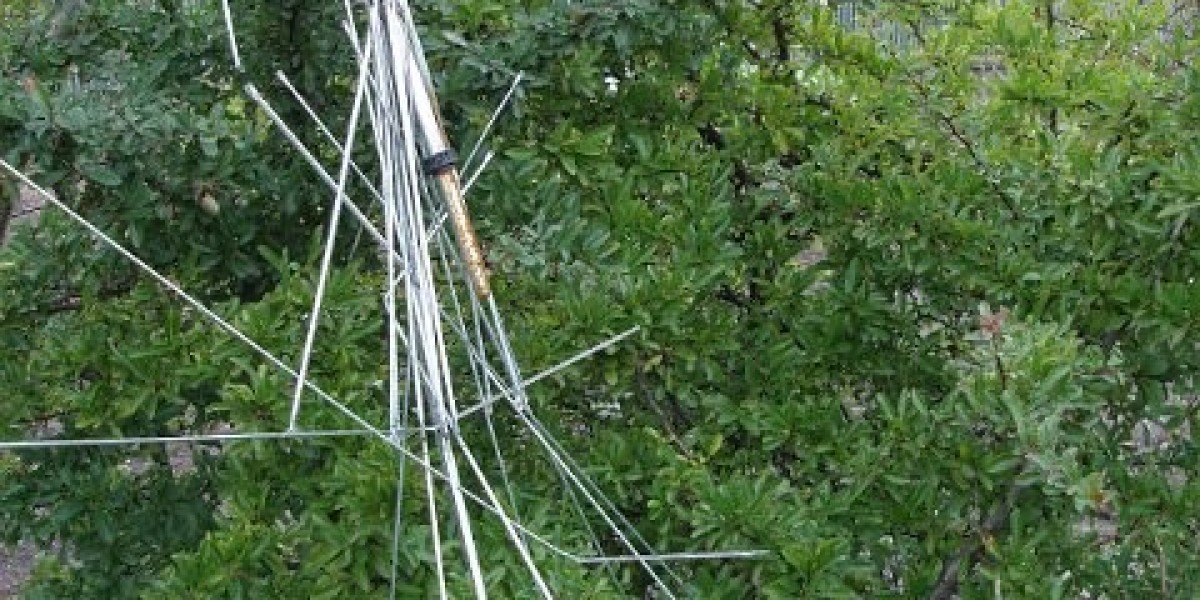 Wachstumshormon – Wirkungen und Regulierung